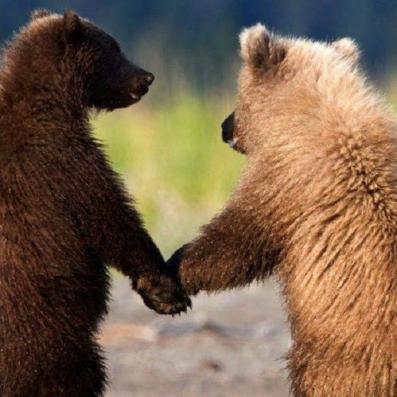 Meet your Posher, Emma - Picture 1 of 1